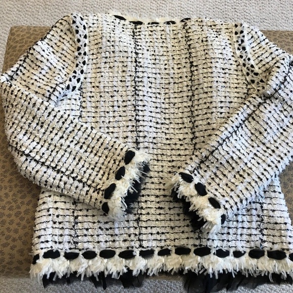 Chanel Classic ICONIC Lesage Tweed Jacket - Picture 3 of 5